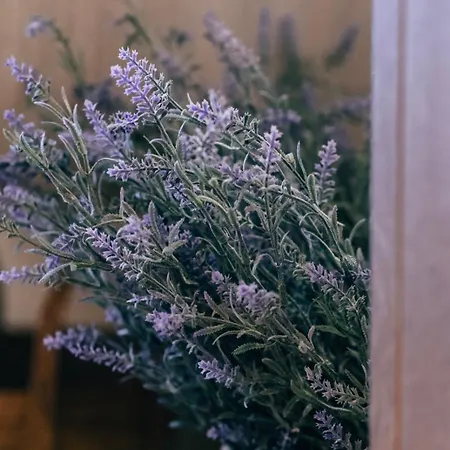 Alexi's House * Kalavryta