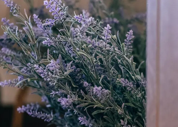 Alexi's House * Kalavryta